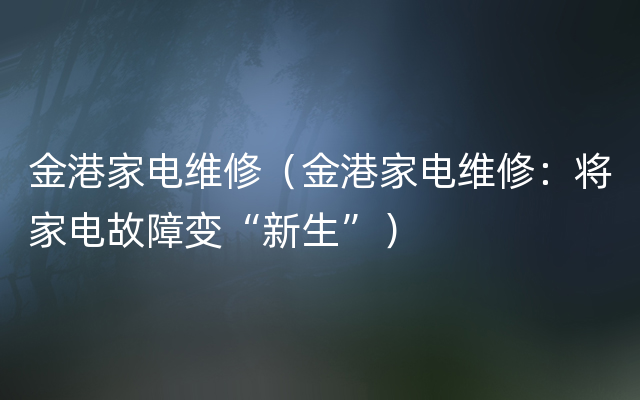 金港家电维修（金港家电维修：将家电故障变“新生”）