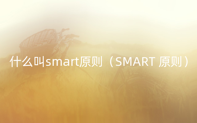 什么叫smart原则（SMART 原则）