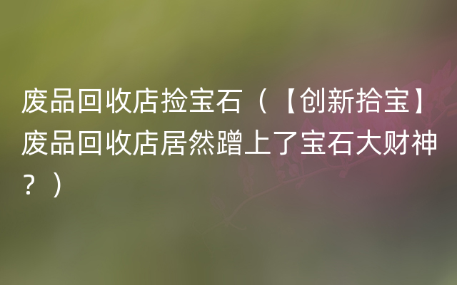 废品回收店捡宝石（【创新拾宝】废品回收店居然蹭上了宝石大财神？）
