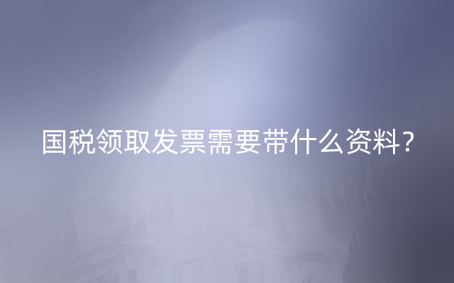 国税领取发票需要带什么资料？