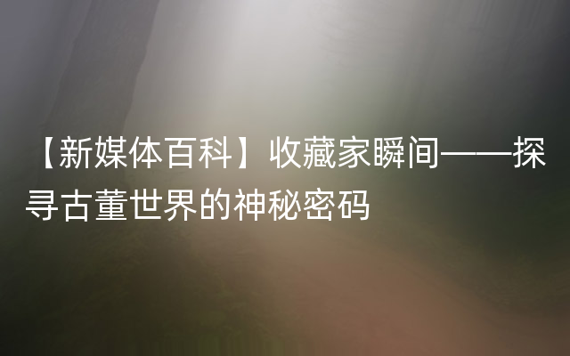 【新媒体百科】收藏家瞬间——探寻古董世界的神秘密码