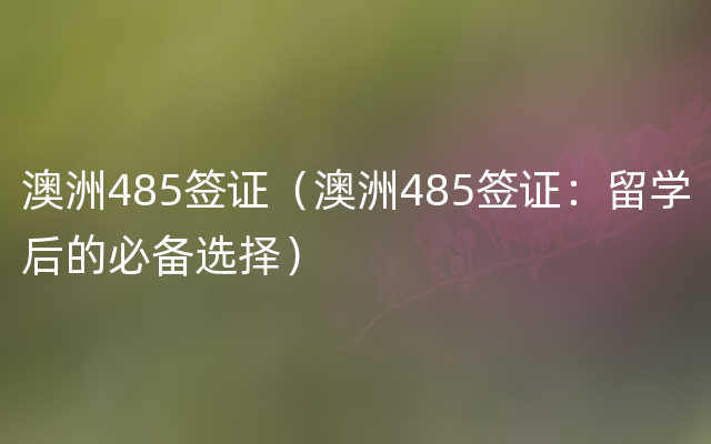 澳洲485签证（澳洲485签证：留学后的必备选择）