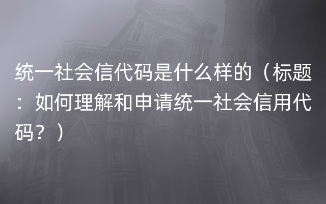 统一社会信代码是什么样的（标题：如何理解和申请