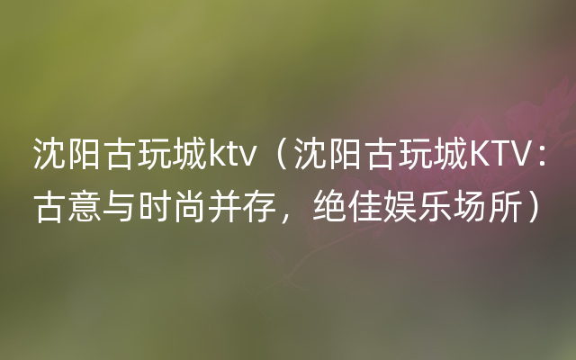 沈阳古玩城ktv（沈阳古玩城KTV：古意与时尚并存，绝佳娱乐场所）