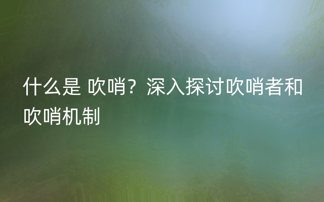 什么是 吹哨？深入探讨吹哨者和吹哨机制