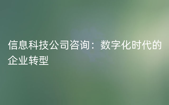 信息科技公司咨询：数字化时代的企业转型