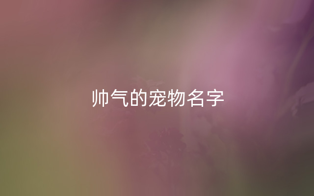 帅气的宠物名字