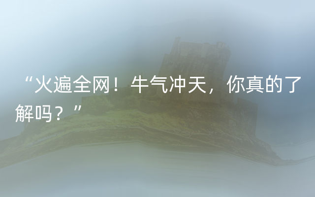 “火遍全网！牛气冲天，你真的了解吗？”