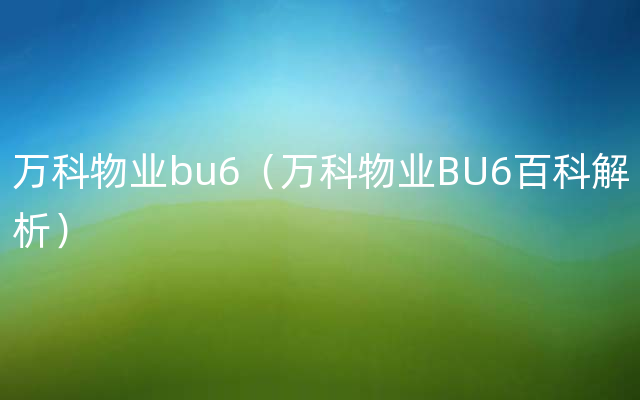 万科物业bu6（万科物业BU6百科解析）