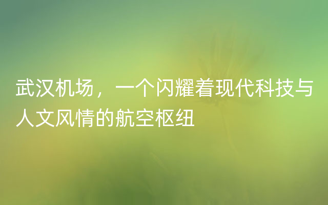 武汉机场，一个闪耀着现代科技与人文风情的航空枢纽