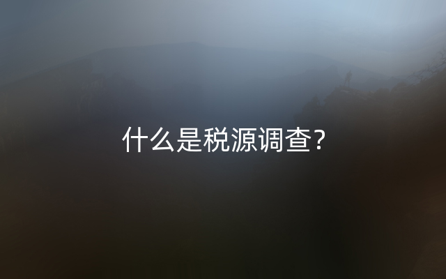 什么是税源调查？