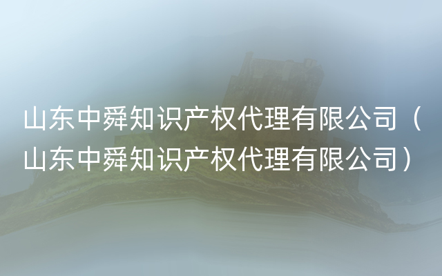 山东中舜知识产权代理有限公司（山东中舜知识产权代理有限公司）