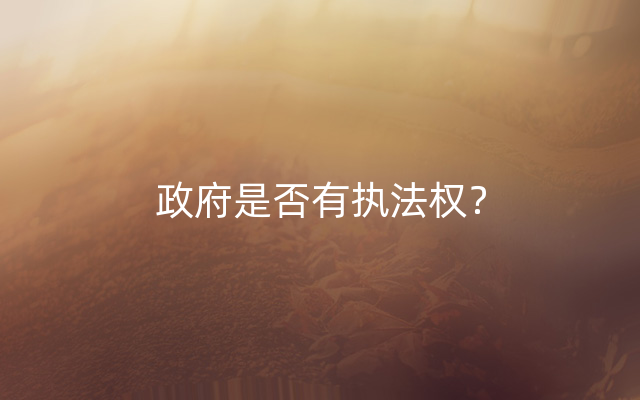 政府是否有执法权？