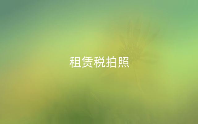 租赁税拍照