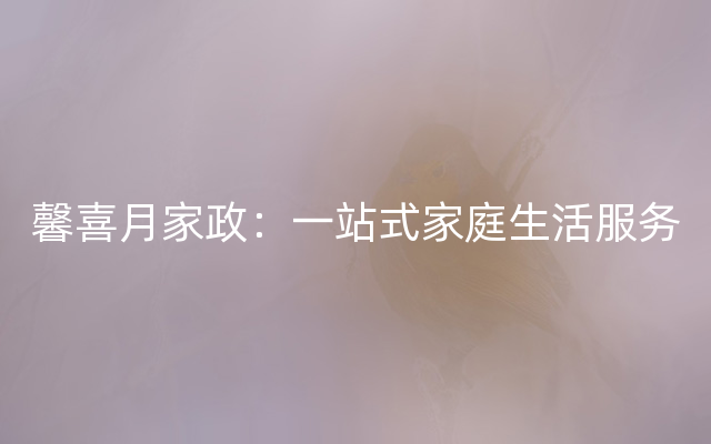 馨喜月家政：一站式家庭生活服务