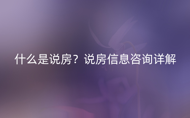 什么是说房？说房信息咨询详解