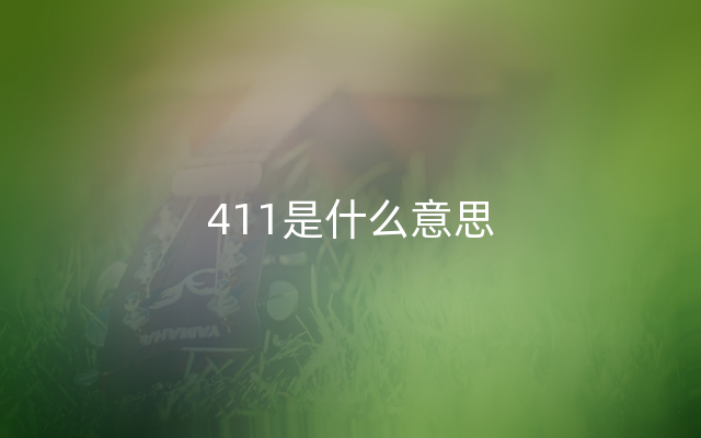 411是什么意思