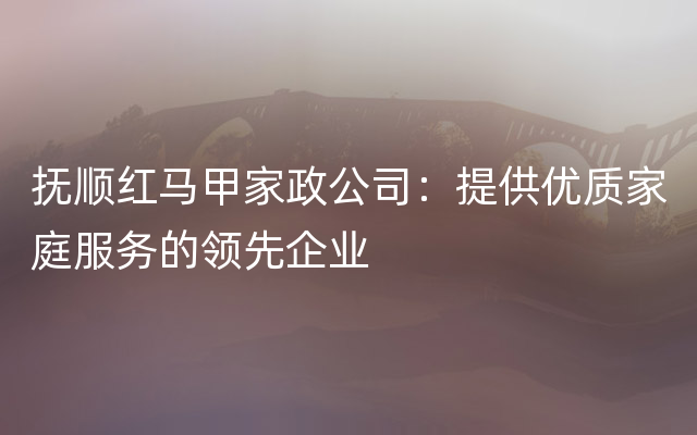 抚顺红马甲家政公司：提供优质家庭服务的领先企业