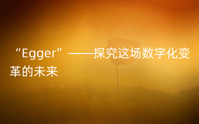 “Egger”——探究这场数字化变革的未来