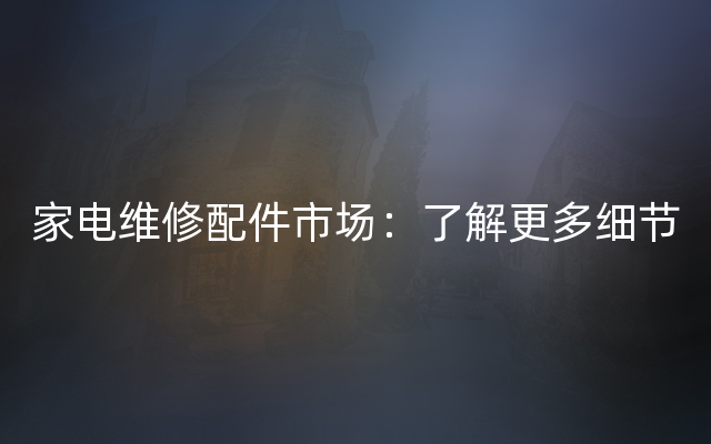 家电维修配件市场：了解更多细节