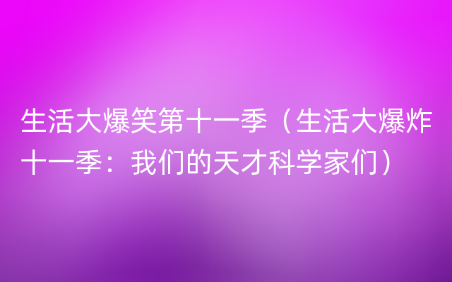 生活大爆笑第十一季（生活大爆炸十一季：我们的天才科学家们）