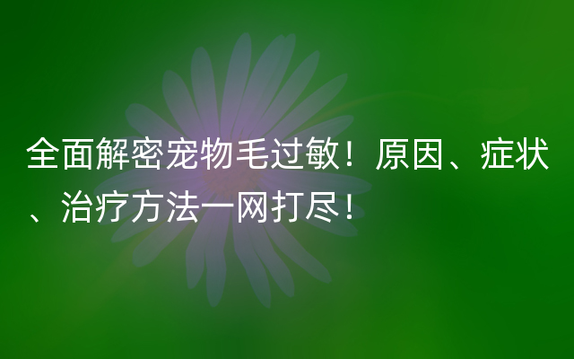 全面解密宠物毛过敏！原因、症状、治疗方法一网打尽！