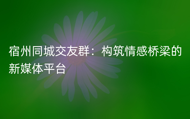 宿州同城交友群：构筑情感桥梁的新媒体平台