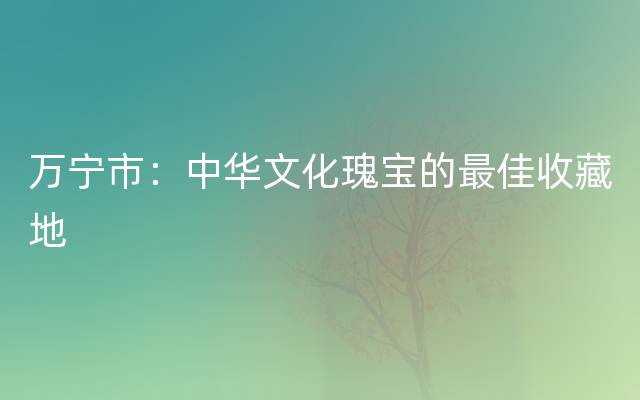 万宁市：中华文化瑰宝的最佳收藏地