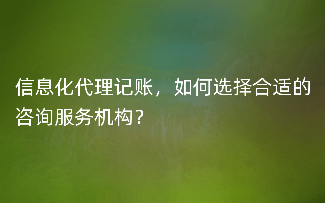 信息化代理记账，如何选择合适的咨询服务机构？