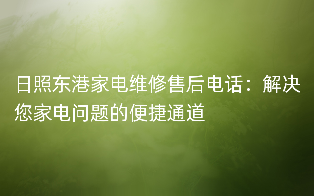 日照东港家电维修售后电话：解决您家电问题的便捷通道