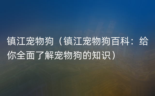 镇江宠物狗（镇江宠物狗百科：给你全面了解宠物狗的知识）