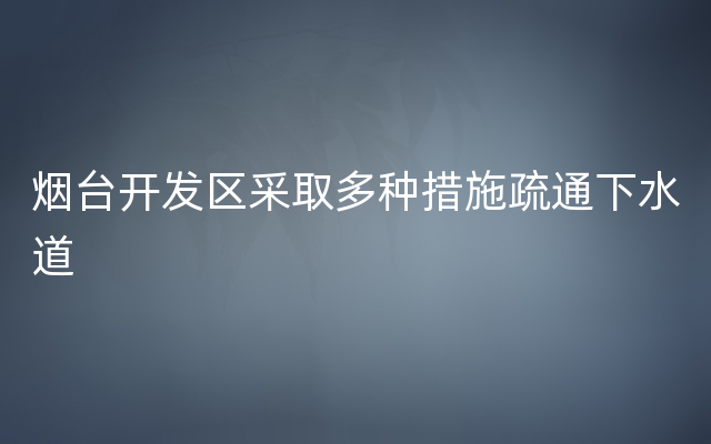 烟台开发区采取多种措施疏通下水道