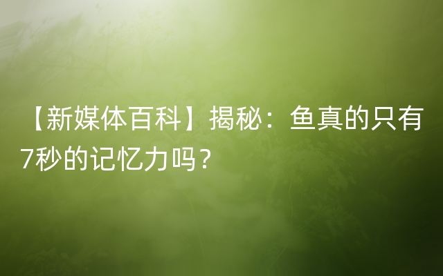 【新媒体百科】揭秘：鱼真的只有7秒的记忆力吗？