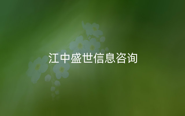 江中盛世信息咨询