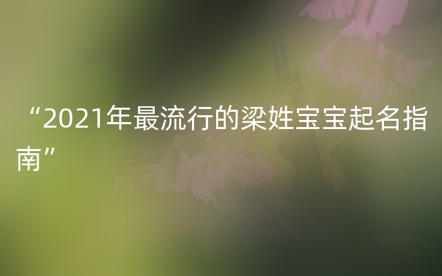 “2021年最流行的梁姓宝宝起名指南”