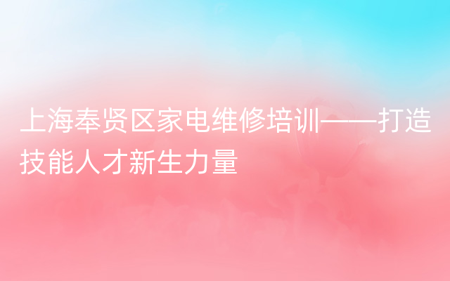 上海奉贤区家电维修培训——打造技能人才新生力量