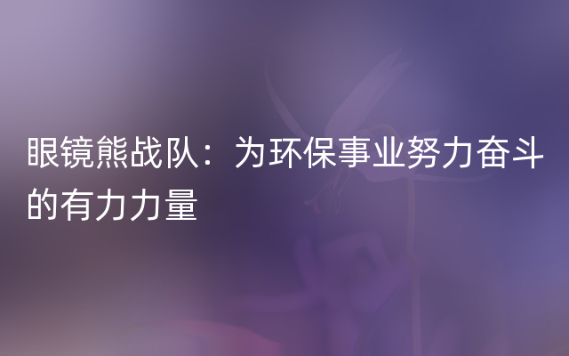 眼镜熊战队：为环保事业努力奋斗的有力力量