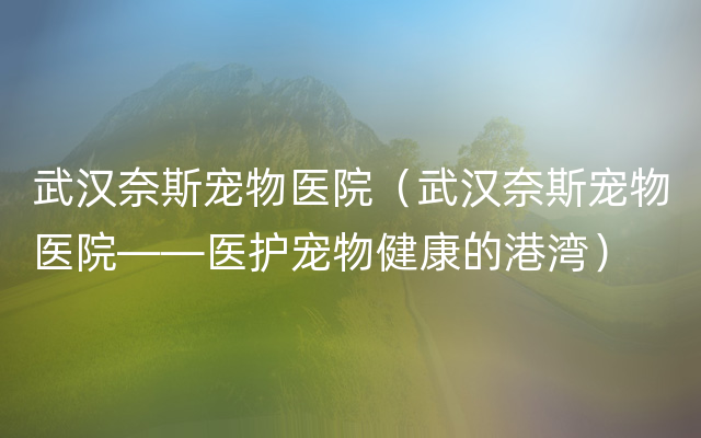 武汉奈斯宠物医院（武汉奈斯宠物医院——医护宠物健康的港湾）