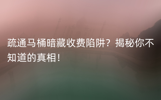 疏通马桶暗藏收费陷阱？揭秘你不知道的真相！