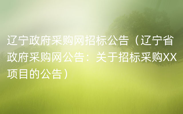 辽宁政府采购网招标公告（辽宁省政府采购网公告：关于招标采购XX项目的公告）