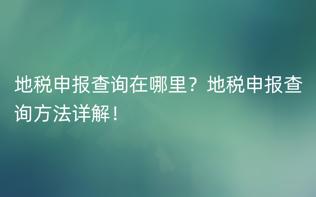 地税申报查询在哪里？地税申报查询方法详解！