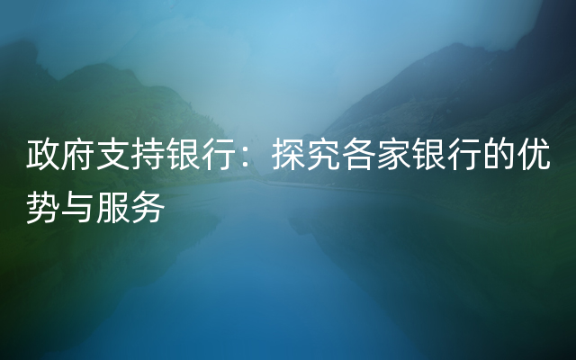 政府支持银行：探究各家银行的优势与服务