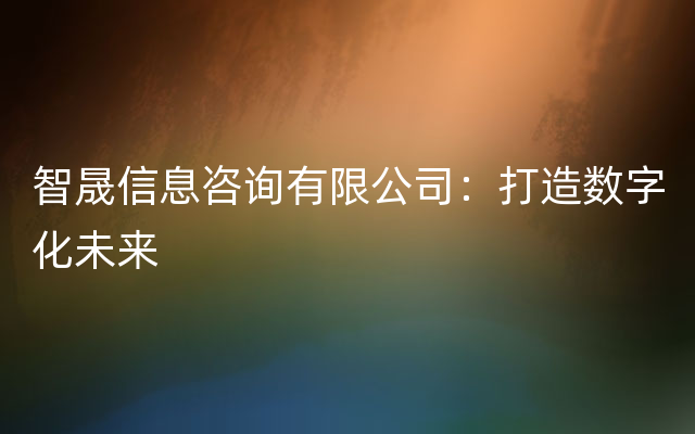 智晟信息咨询有限公司：打造数字化未来