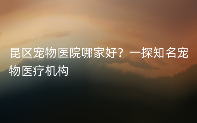 昆区宠物医院哪家好？一探知名宠物医疗机构