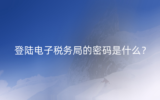 登陆电子税务局的密码是什么？