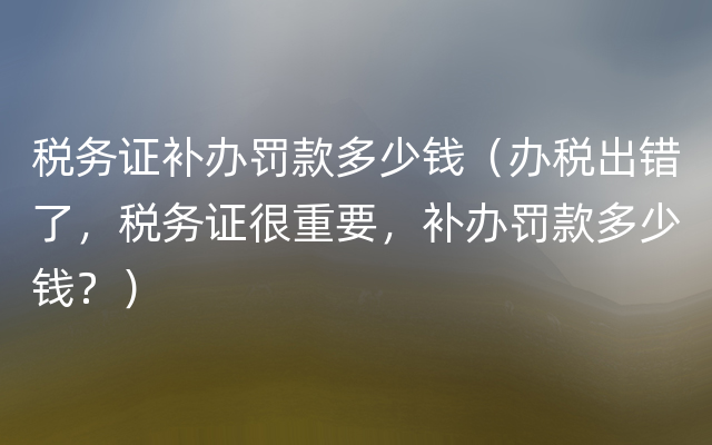 税务证补办罚款多少钱（办税出错了，税务证很重要，补办罚款多少钱？）