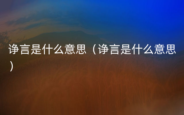 诤言是什么意思（诤言是什么意思）