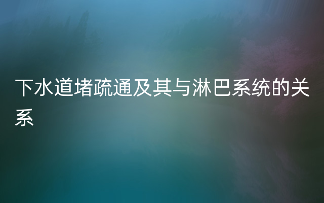 下水道堵疏通及其与淋巴系统的关系