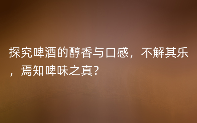 探究啤酒的醇香与口感，不解其乐，焉知啤味之真？