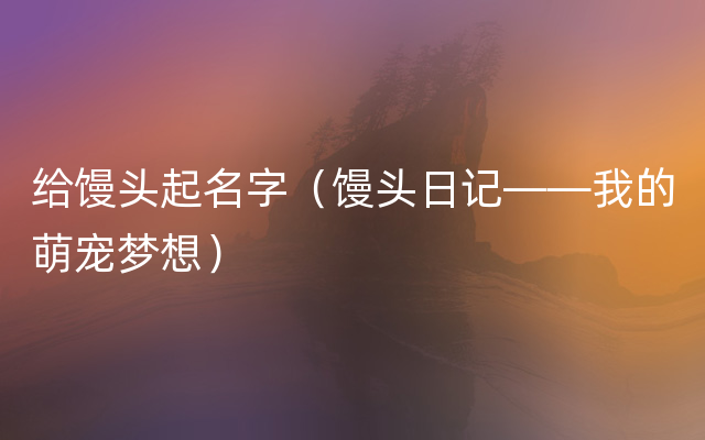 给馒头起名字（馒头日记——我的萌宠梦想）